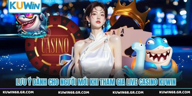 Lưu ý dành cho người mới khi tham gia live casino Kuwin